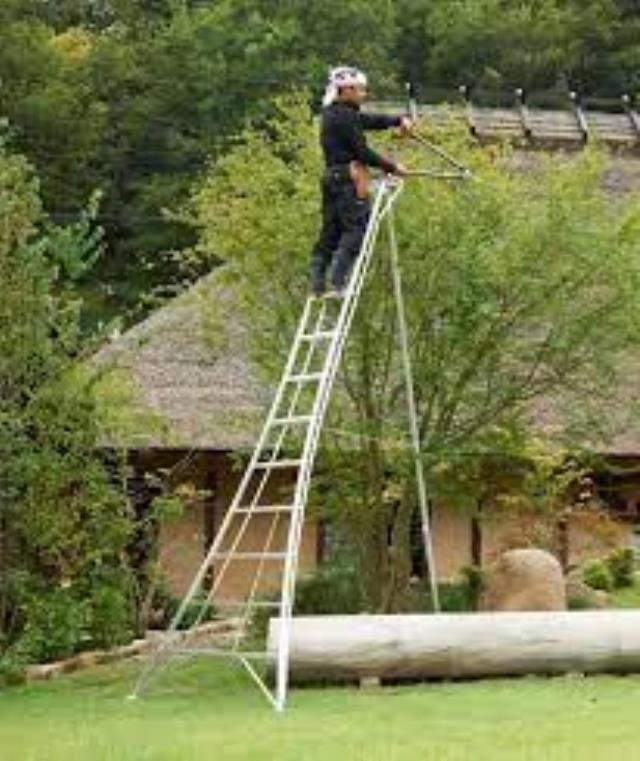 Where to find LADDER, ORCHARD,12 in Vallejo