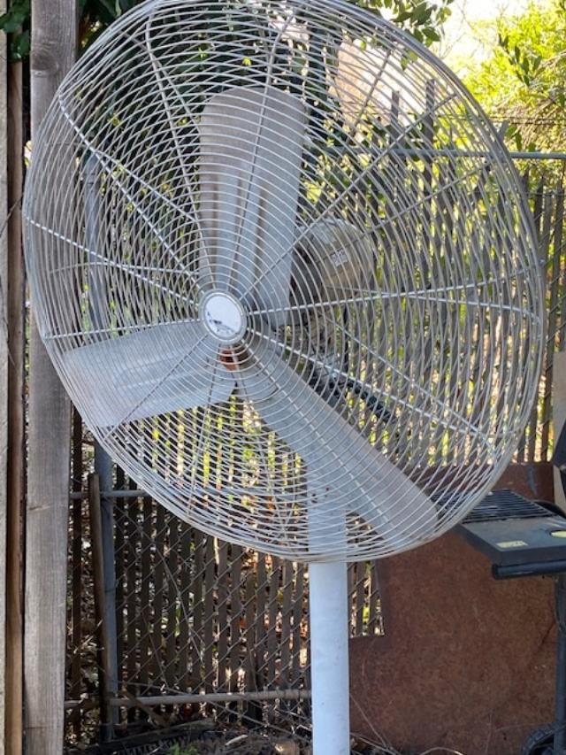 Where to find FAN, PEDESTAL, 30 in Vallejo